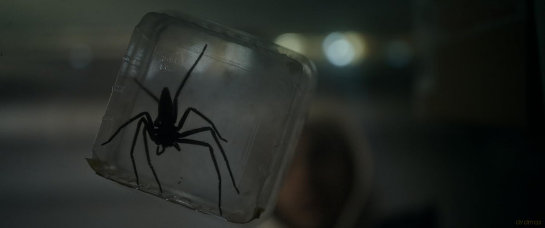 Spiders - Ihr Biss ist der Tod (mediabook) [Blu-Ray 4K]