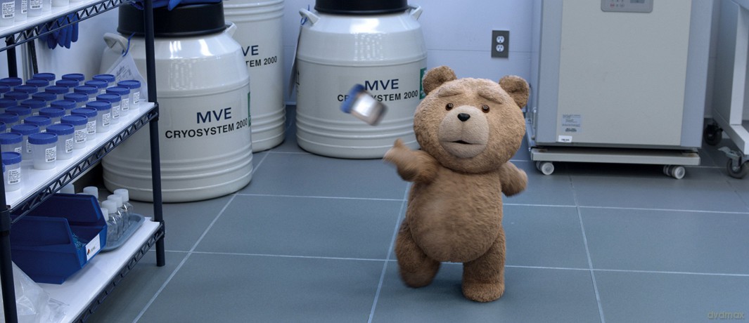 Ted 2 [Blu-Ray]