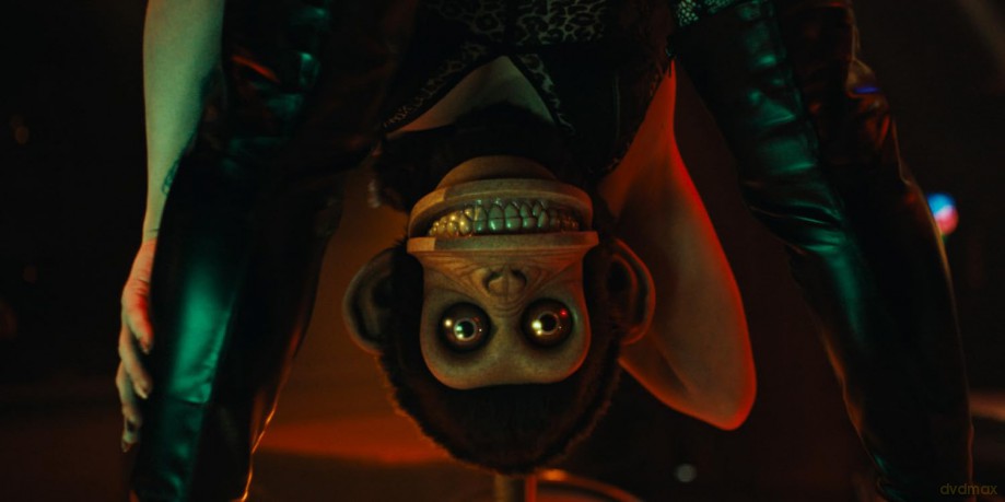 The Monkey [Blu-Ray]