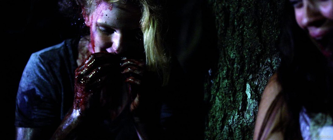 The Trees have Eyes [Blu-Ray]