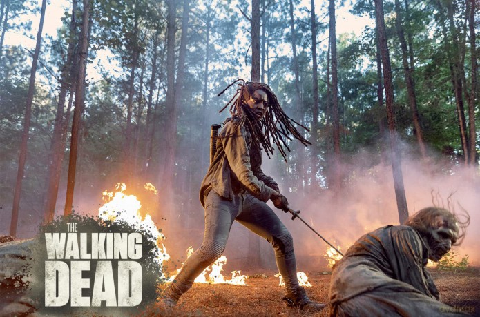 The Walking Dead Staffel 10 [Blu-Ray]