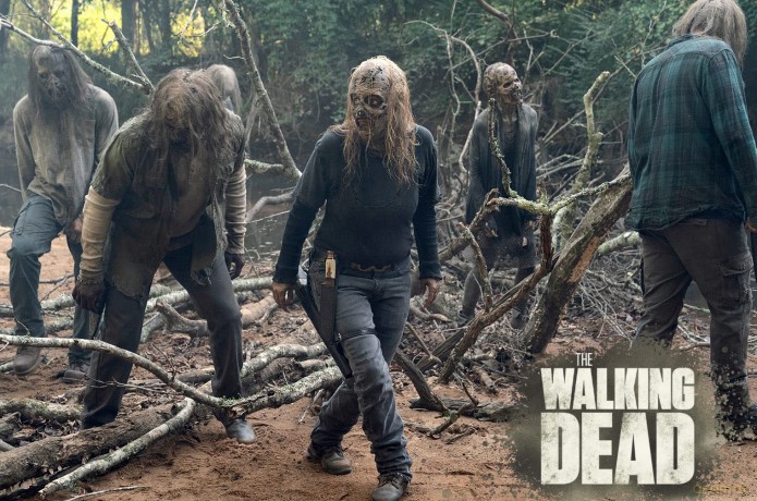 The Walking Dead Staffel 10 [Blu-Ray]