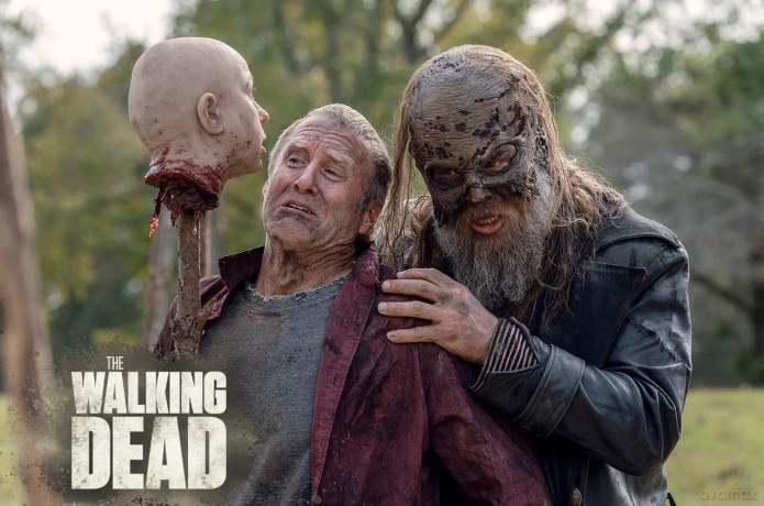 The Walking Dead Staffel 10 [Blu-Ray]