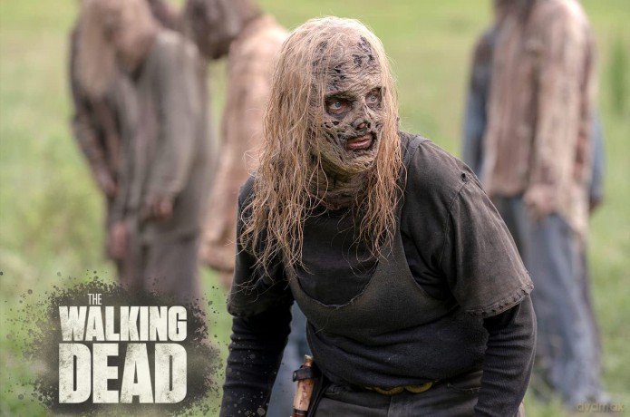 The Walking Dead Staffel 10 [Blu-Ray]
