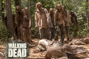 The Walking Dead Staffel 10 [Blu-Ray]
