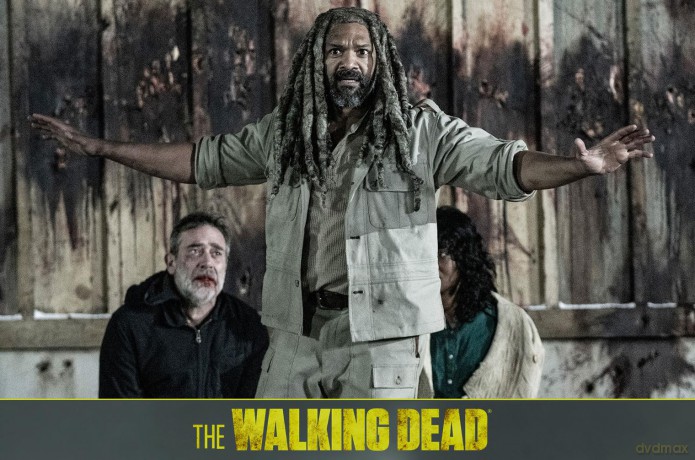 The Walking Dead Staffel 11 (finale Staffel) [Blu-Ray]