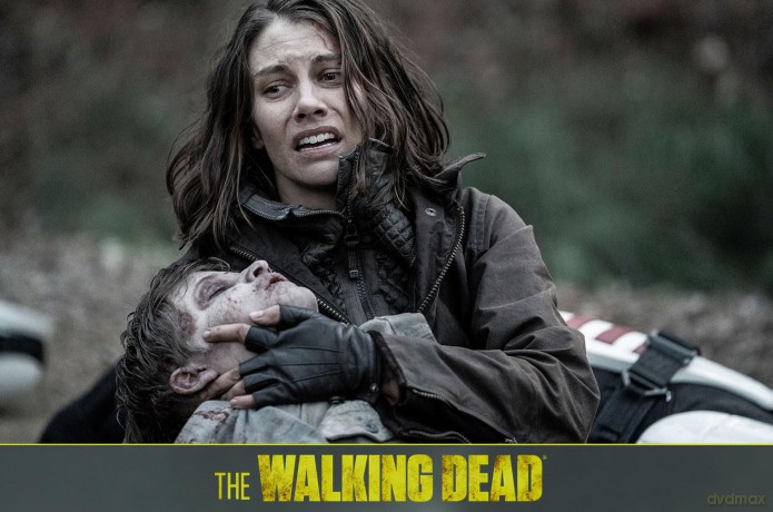 The Walking Dead Staffel 11 (finale Staffel) [Blu-Ray]