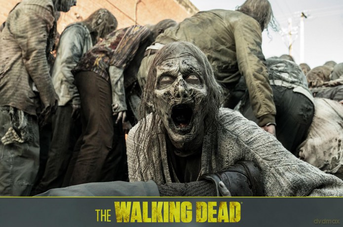 The Walking Dead Staffel 11 (finale Staffel) [Blu-Ray]