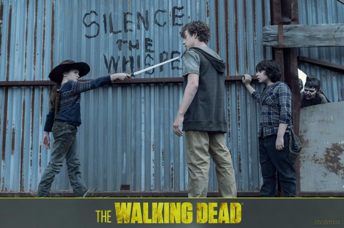 The Walking Dead Staffel 11 (finale Staffel) [Blu-Ray]