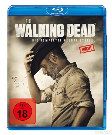 The Walking Dead Staffel 9 [Blu-Ray]