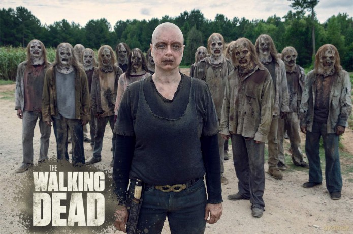 The Walking Dead Staffel 9 [Blu-Ray]