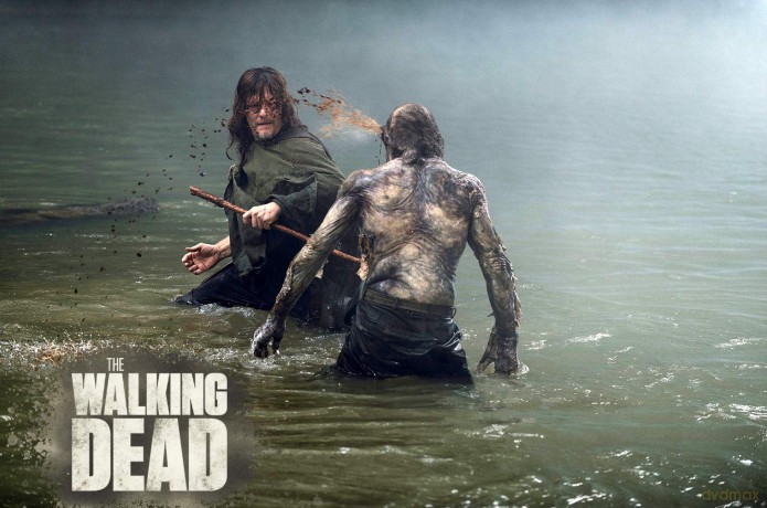 The Walking Dead Staffel 9 [Blu-Ray]
