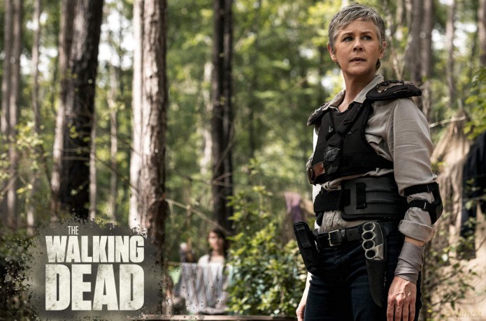 The Walking Dead Staffel 9 [Blu-Ray]