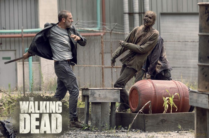 The Walking Dead Staffel 9 [Blu-Ray]
