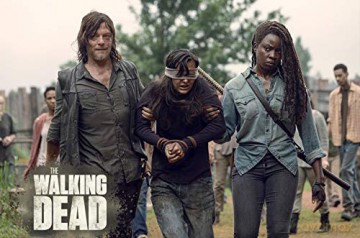 The Walking Dead Staffel 9 [Blu-Ray]