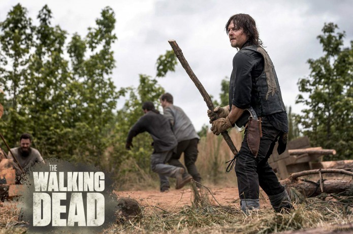 The Walking Dead Staffel 9 [Blu-Ray]