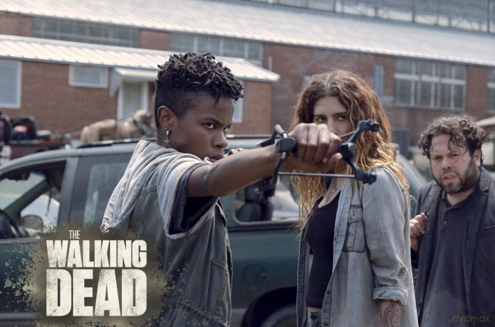 The Walking Dead Staffel 9 [Blu-Ray]