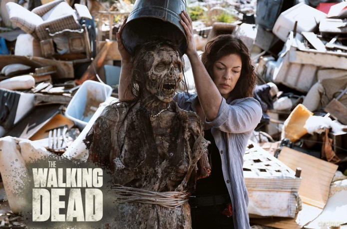 The Walking Dead Staffel 9 [Blu-Ray]