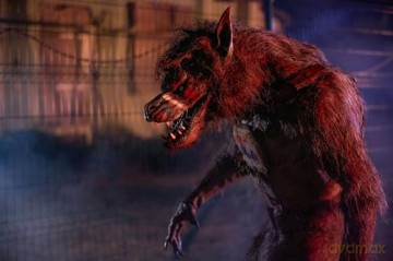 Werewolves [Blu-Ray 4K]
