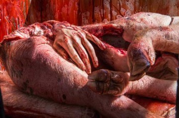Wolf Creek 2 [Blu-Ray]