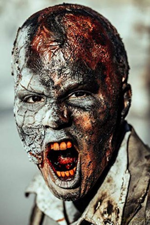 Z Nation Staffel 4 [Blu-Ray]