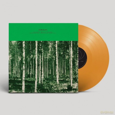 Tuohi Klang: Pennselmann Hits Vol 2765 [Winyl]