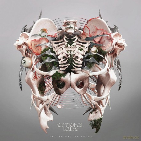 Crystal Lake: The Weight of Sound (Grey) [Winyl]