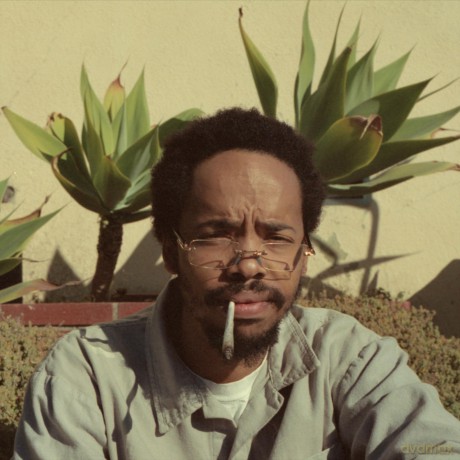 Earl Sweatshirt: Live Laugh Love [Winyl]