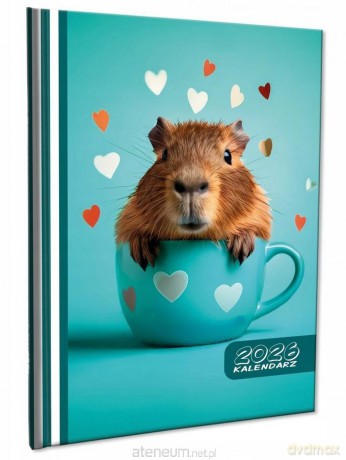 Kalendarz 2026 A5 tygodniowy notatka Kapibara [KALENDARZ]