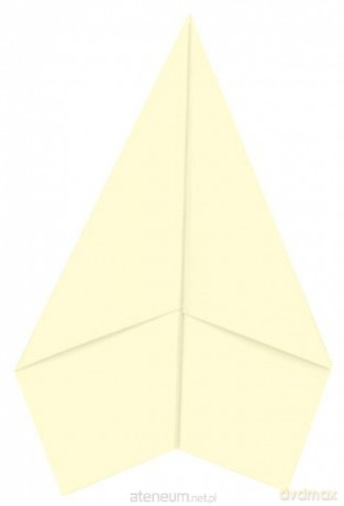 Karton kolorowy 170g A1 (25szt) ecru