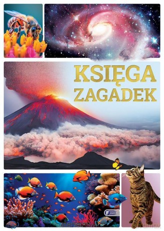 Księga zagadek [KSIĄŻKA]