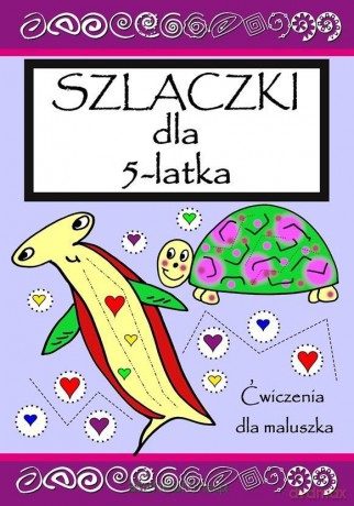 Szlaczki dla 5 latka. Ćwicz pamięć i koncentrację - praca zborowa [KSIĄŻKA]