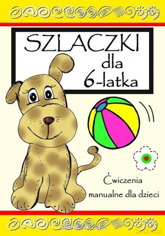 Szlaczki dla 6 latka. Ćwicz pamięć i koncentrację [KSIĄŻKA]