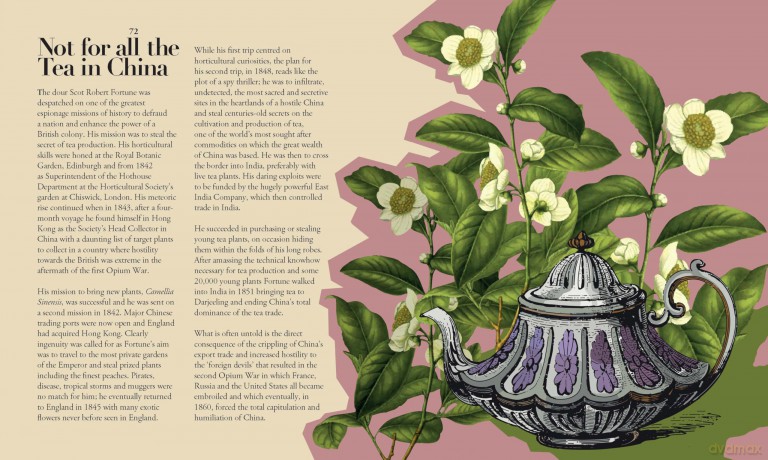 100 Plants That - Chris Beardshaw [KSIĄŻKA]
