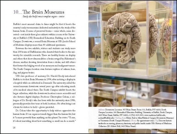 111 Places in Buffalo That You Must Not Miss: Travel Guide - Brian Hayden [KSIĄŻKA]