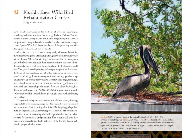 111 Places in Miami and the Keys That You Must Not Miss: Travel Guide, Relaunch - Gordon Streisand [KSIĄŻKA]