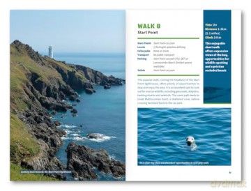 15 Short Walks in South Devon - Salcombe, Brixham and the coast - Holly Scrivener [KSIĄŻKA]