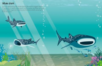 555 Sticker Fun Sharks - Susan Mayes [KSIĄŻKA]