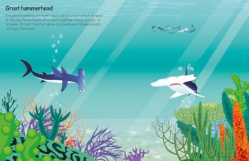 555 Sticker Fun Sharks - Susan Mayes [KSIĄŻKA]