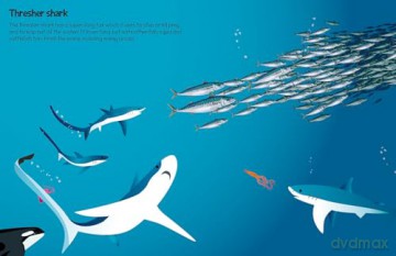 555 Sticker Fun Sharks - Susan Mayes [KSIĄŻKA]