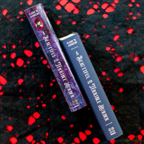 A Beautiful and Terrible Murder: 1 - Claire M. Andrews [KSIĄŻKA]
