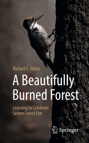 A Beautifully Burned Forest: Learning to Celebrate Severe Forest Fire - Richard L. Hutto [KSIĄŻKA]