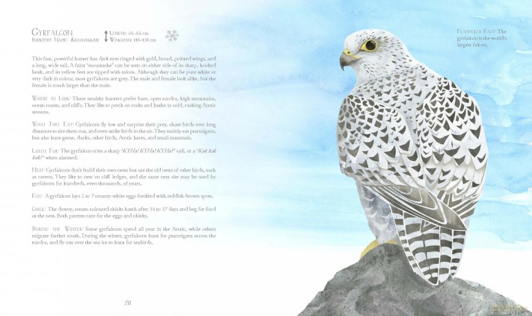 A Children's Guide to Arctic Birds - Mia Pelletier [KSIĄŻKA]