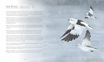 A Children's Guide to Arctic Birds - Mia Pelletier [KSIĄŻKA]