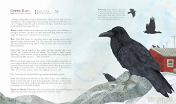 A Children's Guide to Arctic Birds - Mia Pelletier [KSIĄŻKA]