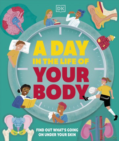 A Day in the Life of Your Body: Find Out What's Going on Under Your Skin - DK [KSIĄŻKA]