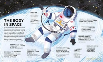 A Day in the Life of Your Body: Find Out What's Going on Under Your Skin - DK [KSIĄŻKA]
