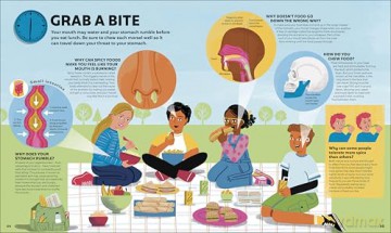 A Day in the Life of Your Body: Find Out What's Going on Under Your Skin - DK [KSIĄŻKA]