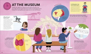 A Day in the Life of Your Body: Find Out What's Going on Under Your Skin - DK [KSIĄŻKA]