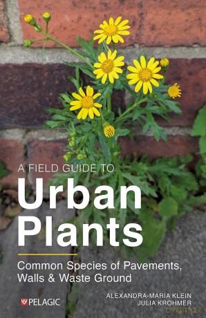 A Field Guide to Urban Plants: Common Species of Pavements, Walls and Waste Ground - Alexandra-Maria Klein [KSIĄŻKA]